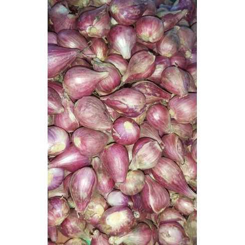

bawang merah