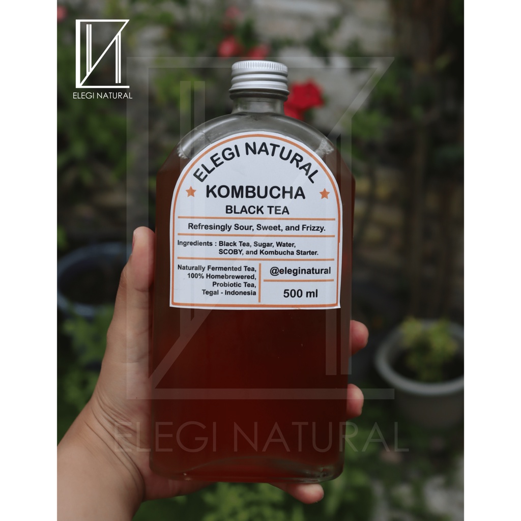 Jual Kombucha Black Tea Elegi Natural Premium 500ml Shopee Indonesia