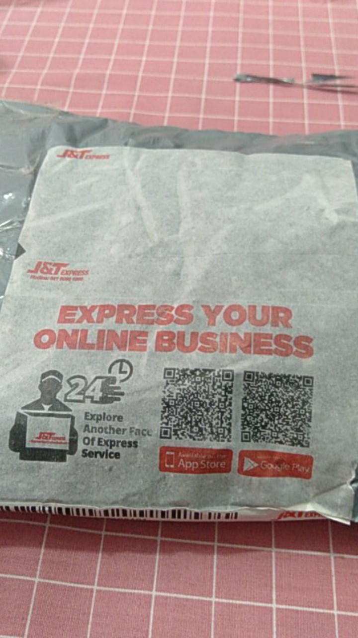 Pinecone / Pinus Kecil