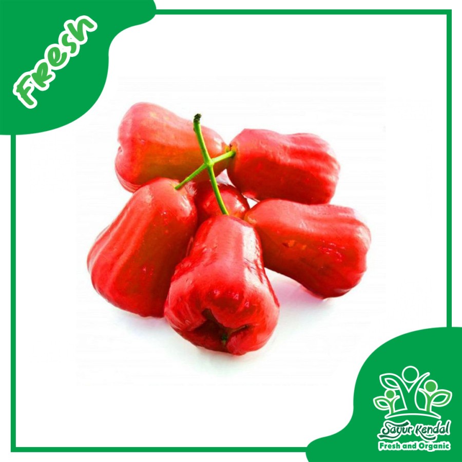 

Jambu Air - Sayur Kendal