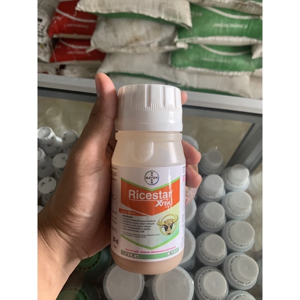 ricestar 250ml