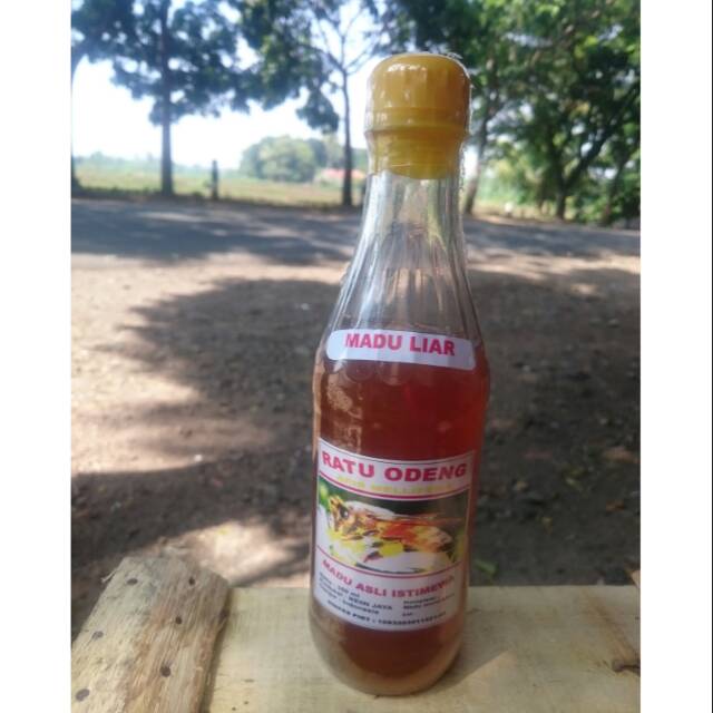 

Madu asli (madu liar) ratu odeng