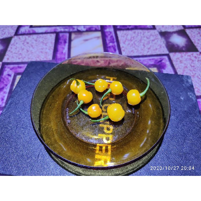 

Cabe Aji Charapita 5 Gram