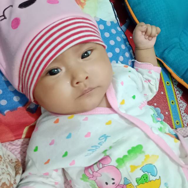 shelbiborurangkutiii