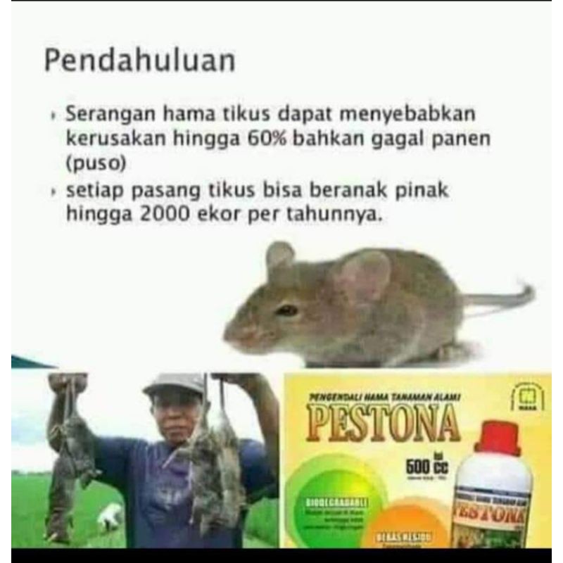 pestona nasa pembasmi hama