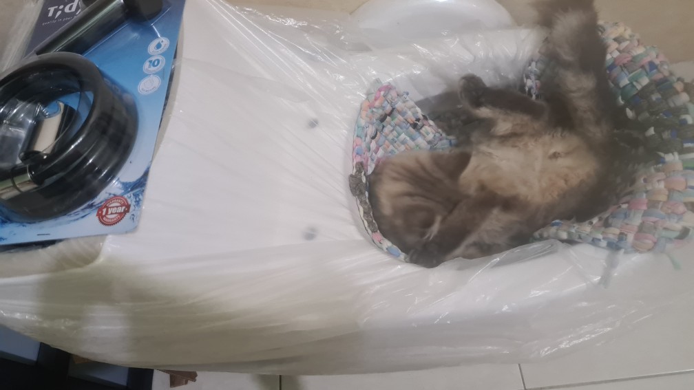 Kloset Duduk Fsa0033 Jarak As 25cm Washdown Complete Set Monoblok