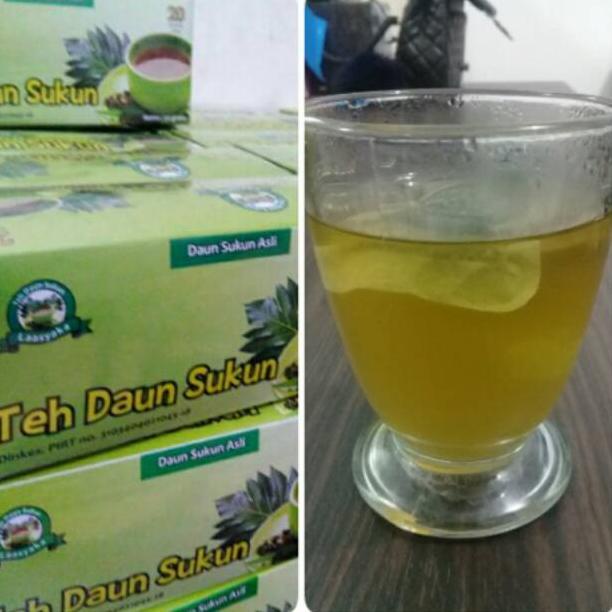 

Teh Daun Sukun Asli Original Laasyaka Untuk menyembuhkan Diabetes Stroke Asam urat Gagal ginjal Darah tinggi Jantung Batu ginjal Kolesterol Dian