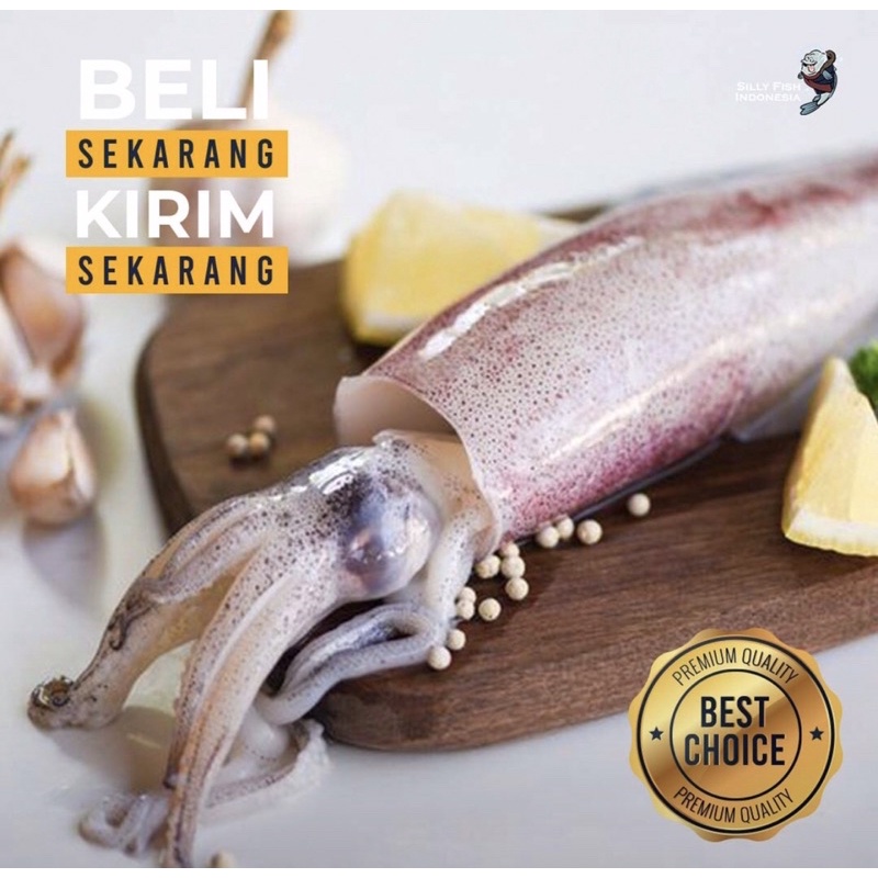 Baby cumi/ Cumi pan utuh/ cumi segar/ cumi frozen/ cum i-cumi/ cumi murah/ sambal cumi/ oseng cumi