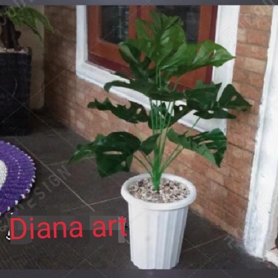 tanaman plastik#monstera latex#tanaman artificial jumbo