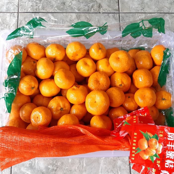 

Buah Jeruk Santang Shantang Madu MANIS Import TERMURAH DIJAMIN