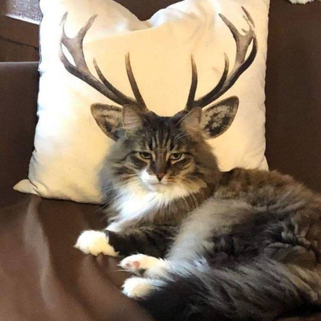 idabagussuryawibawa_88