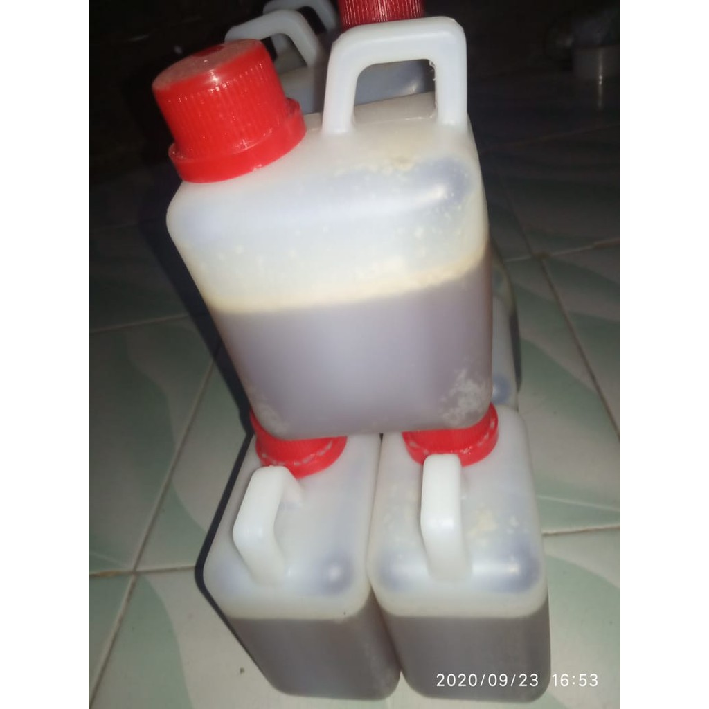 

Madu Asli Hutan Murni Suku Baduy