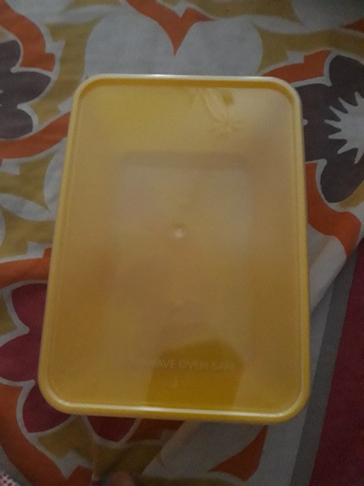 Thinwall Food Container 1000ml Warna / Kotak Makan Bening / Mangkok Plastik / Mangkok Bening