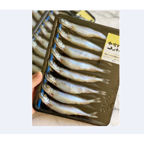 

Fish Shisamo Capelin