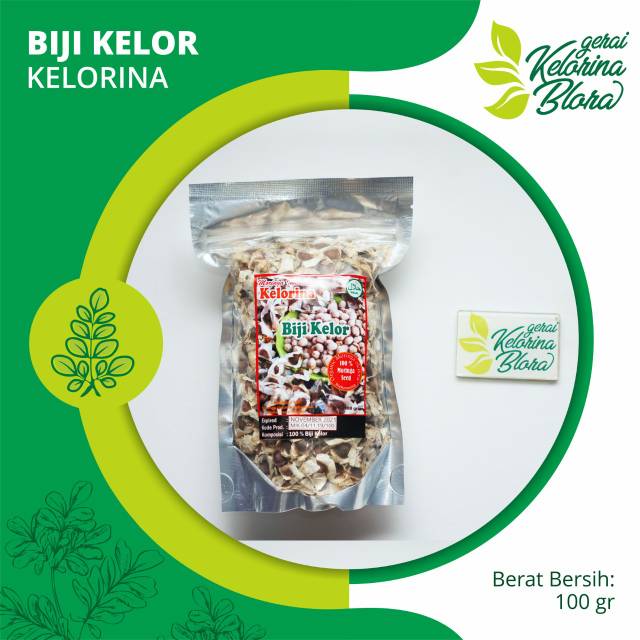 Jual Biji Kelor Moringa Seed Netto 100 Gram Kelorina Moringa