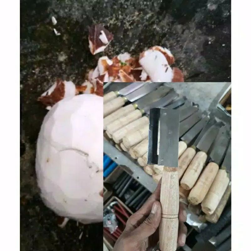 Pisau Kupas Kulit Kelapa,✧TERLARIS✧ HEMAT 50%    Pengupas Kulit Ari Kelapa dan Buah Peeler ⁂TAJAM