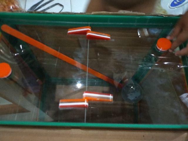 Aquarium Es Kelapa Besar Acrylic Es Buah + Gayung Lion Star Lionstar