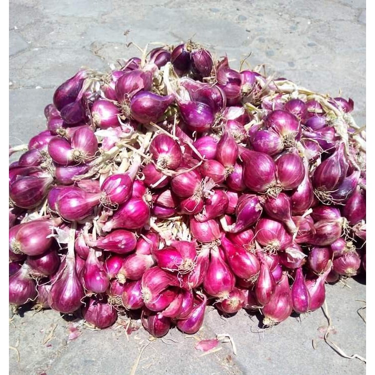 

Bawang Merah BREBES Super Segar 500 gram