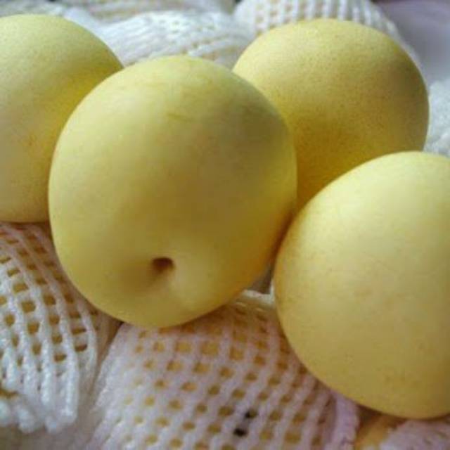 

Buah Pear/pir century segar dan manis 1 kg