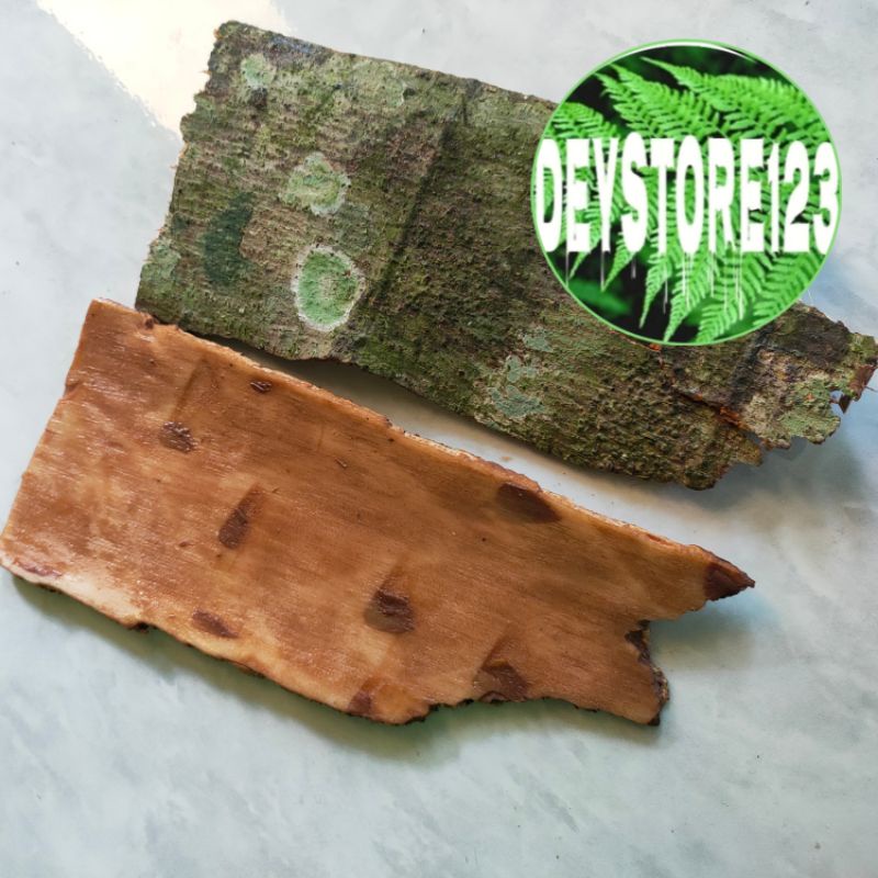 

Kulit Pohon Loa Frsh 200 Gram