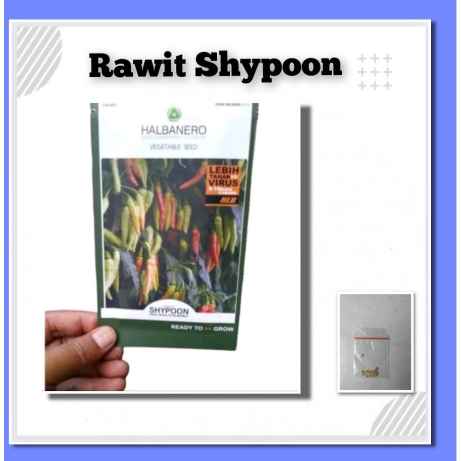 Benih Cabe Shypoon isi 15 biji Bibit Tanaman Cabe Panah Merah