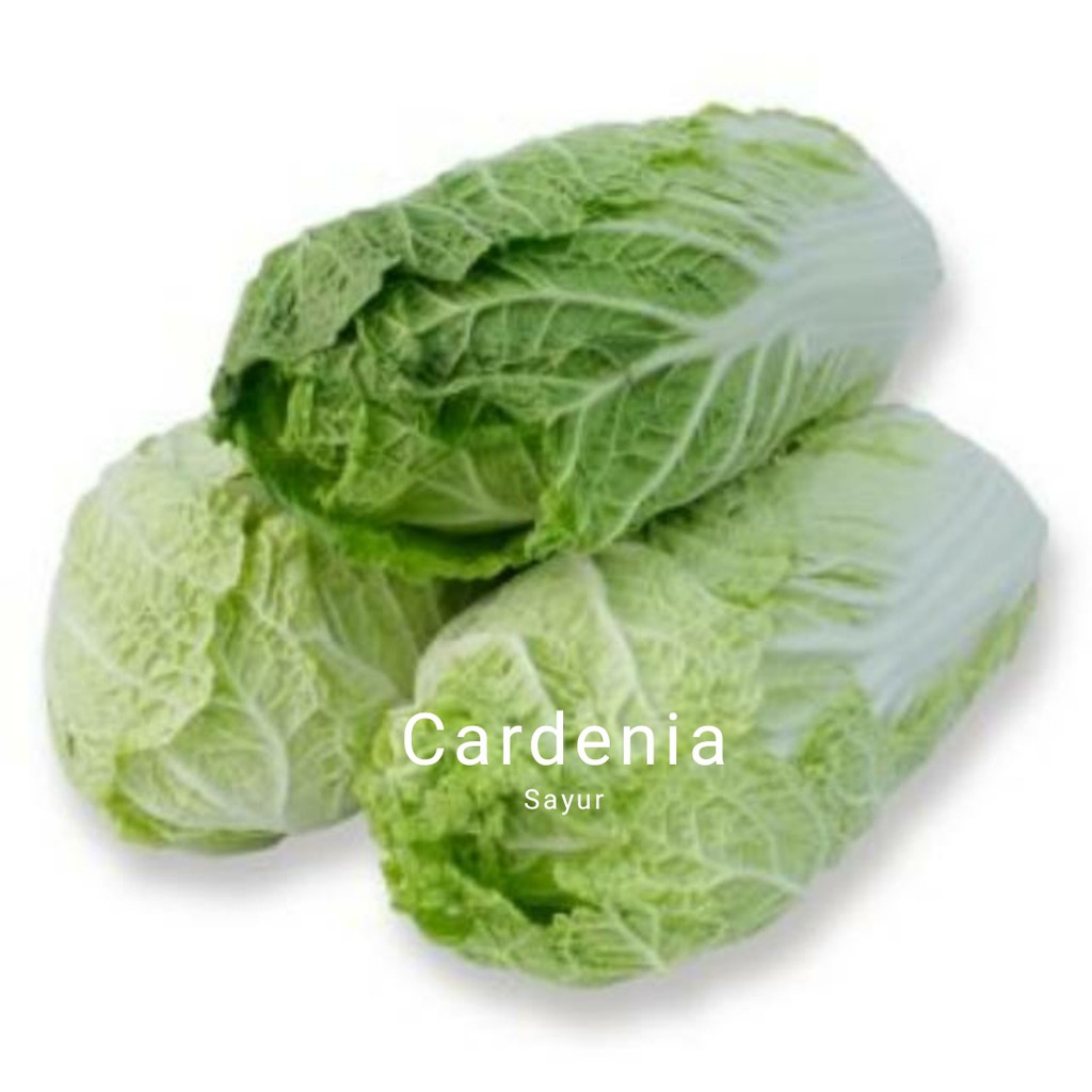 

sawi putih, bumbu masak , peralatan masak, bahan masakan, sayur segar, bumbu ,