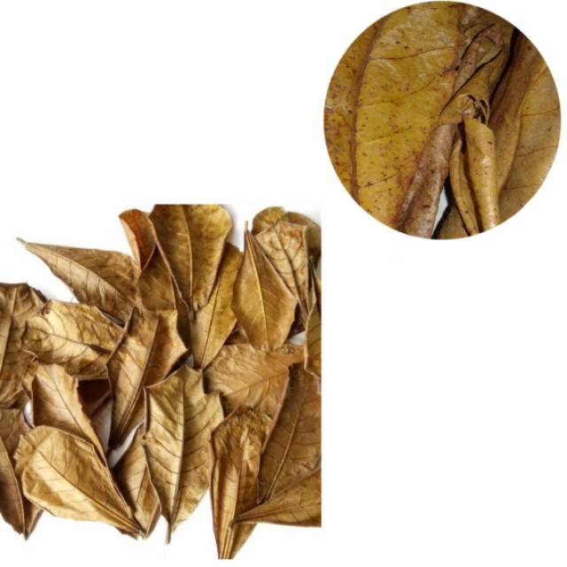 Daun Ketapang Kering Terminalia Catappa 100Gram | Shopee ...