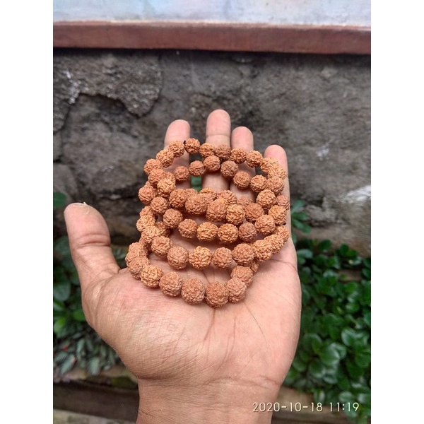 Gelang genitri rudraksha asli | gelang kesehatan 8-10mm