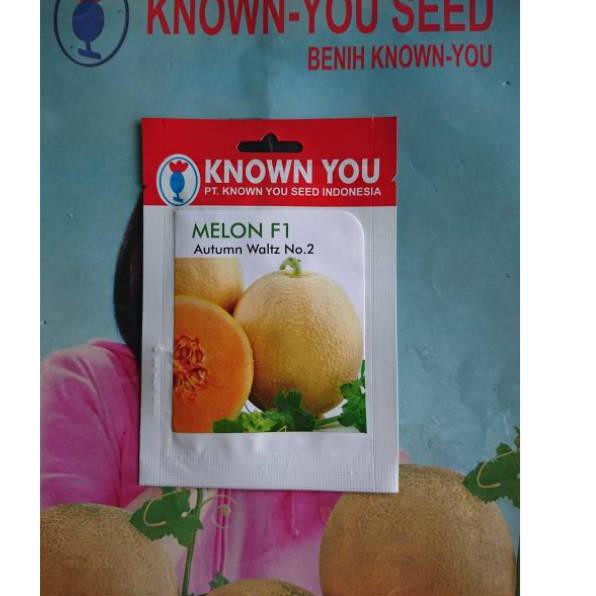 Terlaris Benih Biji Melon Madu Kuning AUTUMN WALTZ F1 Sp QOY