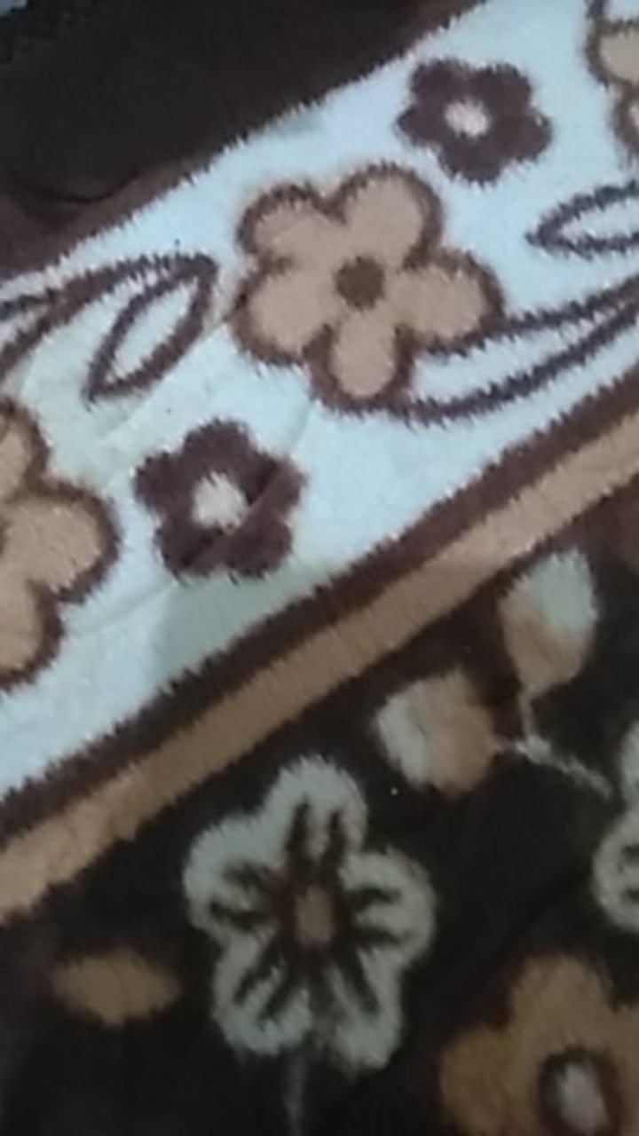 Insektisida Curacron Pembasmi Hama Kutu Putih