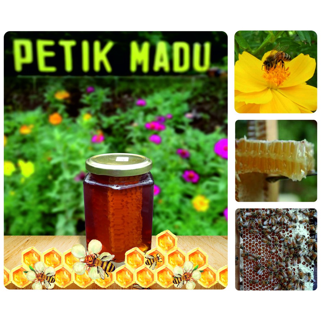 

Madu Sarang / Honey Comb / Pure Honey 350gram kemasan Toples Hexagonal