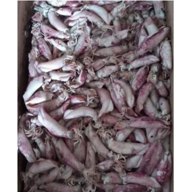

Cumi Kering Asin 1/4 kg