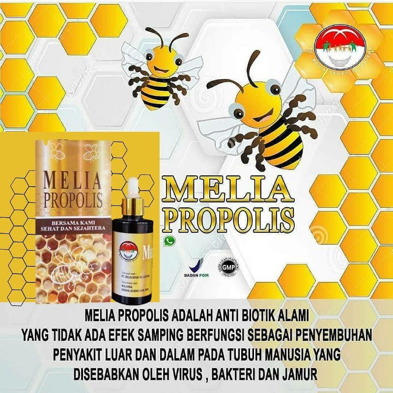 PROPOLIS (air liur lebah) 6ML 1PACK ISI 7 BOTOL