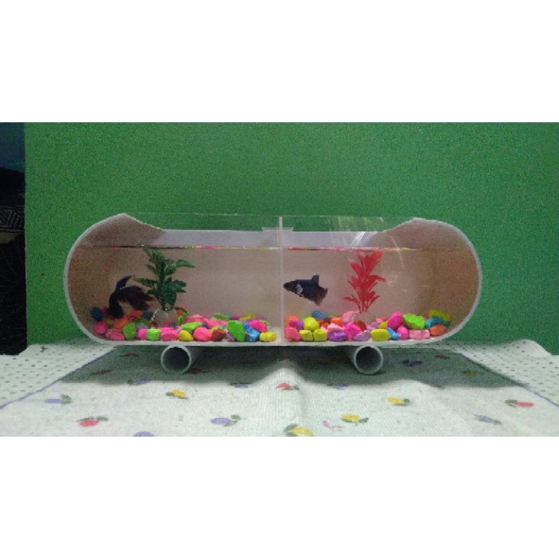 aquarium unik untuk ikan kecil seperti cupang molly neon dll