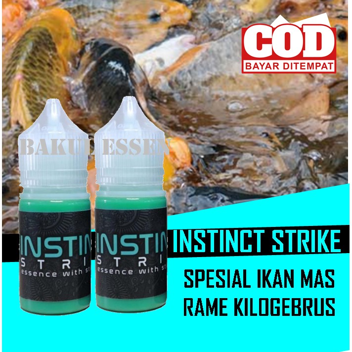 Instinct Strike Essen Oplosan Khusus Ikan Mas Rame - Aroma Amis Wangi
