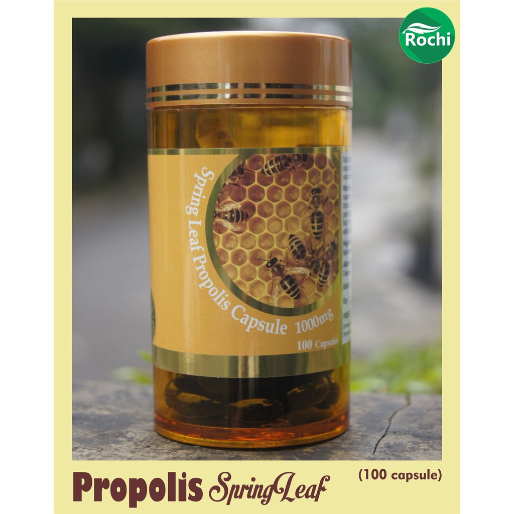 Propolis Springleaf 100kapsul - Propolis impor Australia sertifikat halal - Propolis BPOM Springleaf