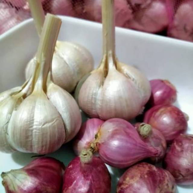 

Bawang merah Jawa super