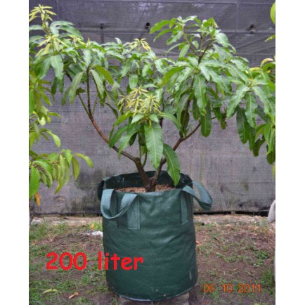 Planter Bag Hijau 200 Liter