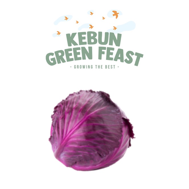 

Kol Ungu - Red Cabbage