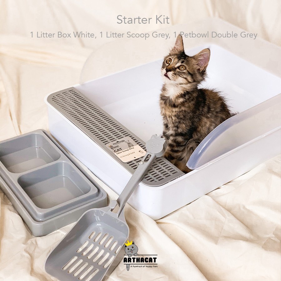 Cat &amp; Kitten Starter Kit - Paket Perawatan Anak Kucing - Arthacat