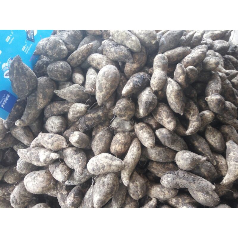 

ubi jalar putih/sweet potato