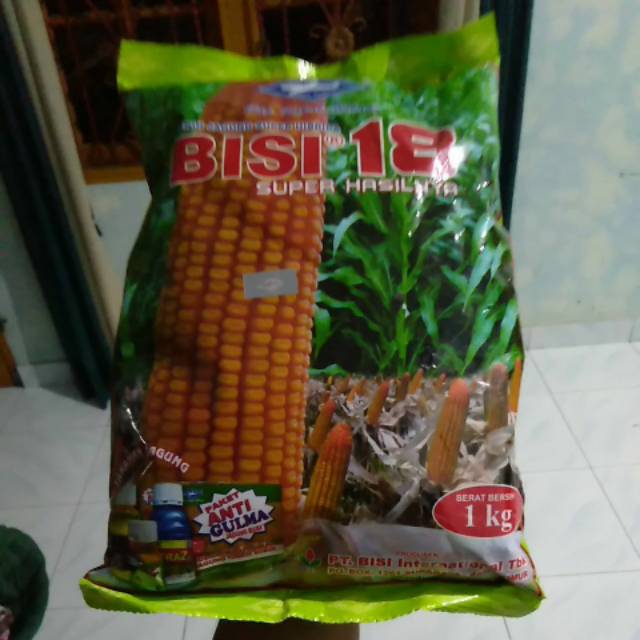 bibit jagung bisi 18