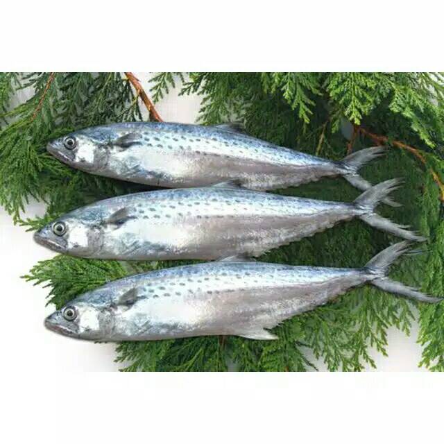 

❤ SEMBAKO MURAH ❤ Ikan Tenggiri Fresh Segar Kiloan - Pasar Murah Bekasi