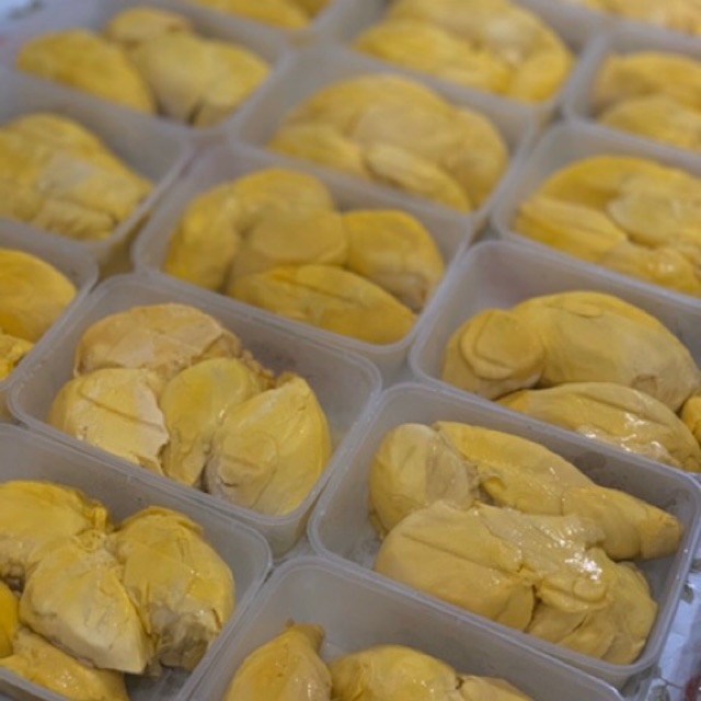 DUREN MONTHONG PALU PARIGI ASLI SULAWESI DURIAN MONTONG PREMIUM 500GRAM