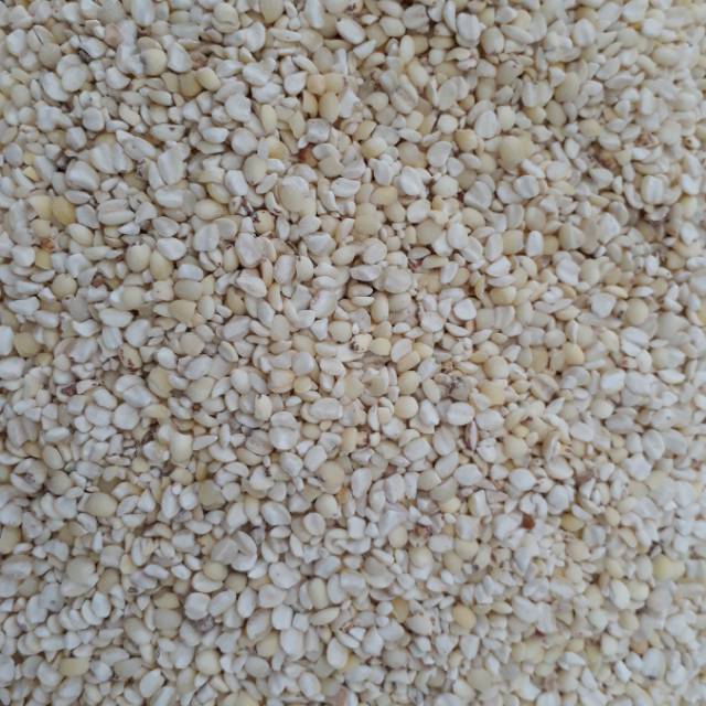 

Barley / Jali Jali Aceh Pearl Wheat 500gr