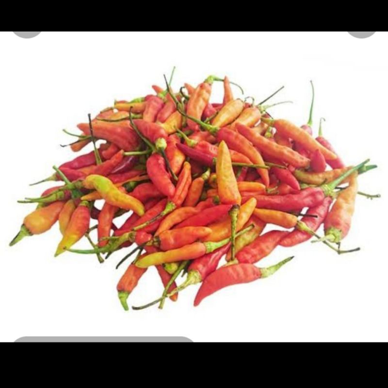 

Cabe Rawit Segar serba 3rb