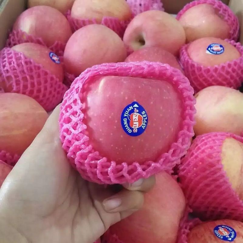 

Apel Fuji Segar Manis kemasan 500 gram /Produk hemat dan terlaris