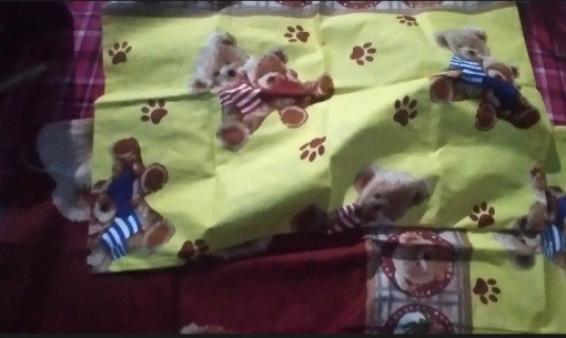 Sarung Bantal Dan Guling Karakter Lucu