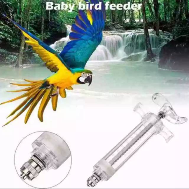 lolohan burung 30 ml suntikan spet spuit Lovebird parkit parrot