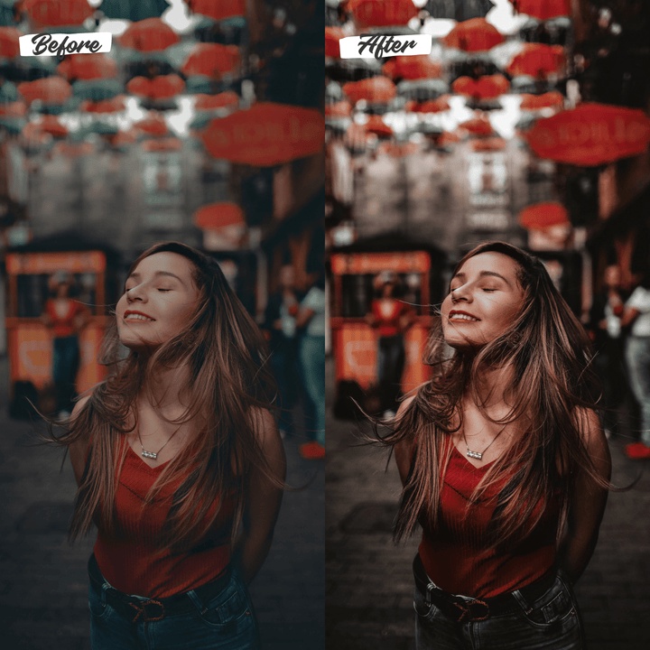 10 Lightroom Preset Wildsoul IOS/Android and Dekstop